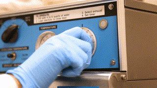 Medical Laboratory Science